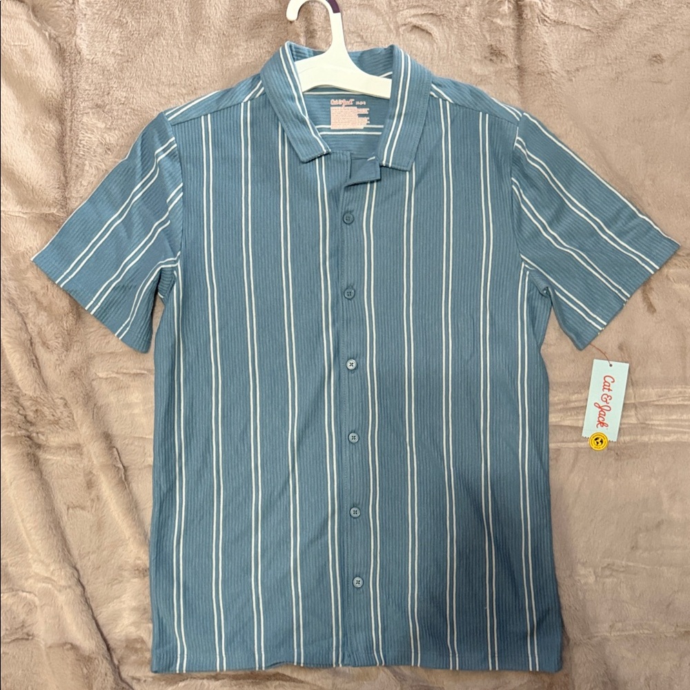 Cat & Jack Blue and White Striped Button Down Shirt